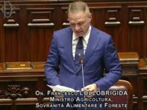 Lollobrigida: "Nostri agricoltori sanno che Governo è dalla loro parte, al contrario di altri Paesi"