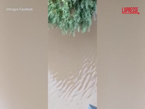 Liguria sotto la pioggia: ad Albenga sommerse strade e auto