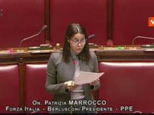 Piano Mattei, Marrocco (FI): "Riflette la visione di Berlusconi"