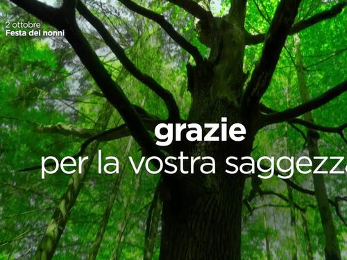 Mediaset festeggia i nonni