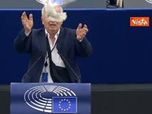 Eurodeputato libera colomba per la pace durante il suo intervento al Parlamento Ue