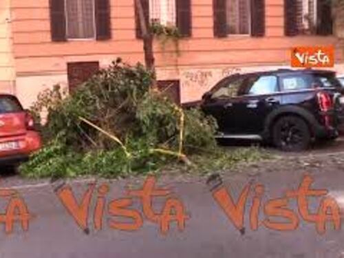 Bomba d'acqua su Roma, rami spezzati e alberi danneggiati nel quartiere Prati, le immagini