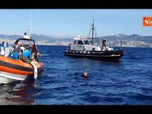 La tartaruga Silva torna in mare dopo 10 mesi di riabilitazione all'Acquario di Genova
