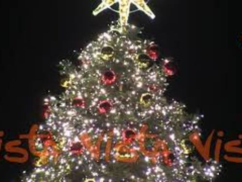 Natale 2024, l'albero di Roma allestito a Piazza del Popolo