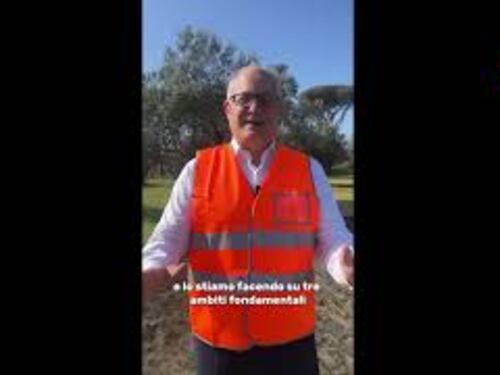 Gualtieri raccoglie le olive di Roma: Olio rigorosamente biologico simbolo di solidarietà