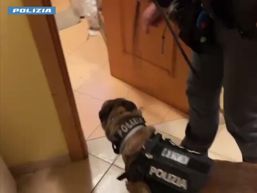Fiumi di cocaina sulle piste da sci di Livigno, il maxi blitz della polizia di Stato