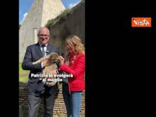 Gualtieri: A Roma nominato Garante dei diritti degli animali