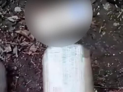 I proventi dello spaccio nei boschetti della droga appena dissotterrati
