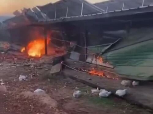 Hezbollah colpisce fattorie di polli