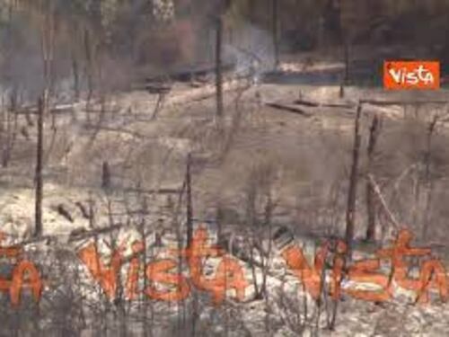 Incendio a Monte Mario, alberi bruciati e terreno ancora fumante sul colle di Roma