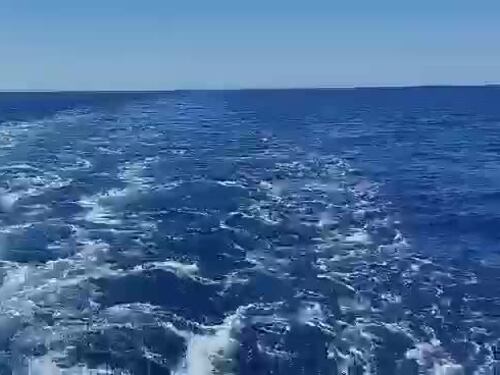 La Ocean Viking in navigazione: a bordo i migranti. Il video pubblicato dal trafficante