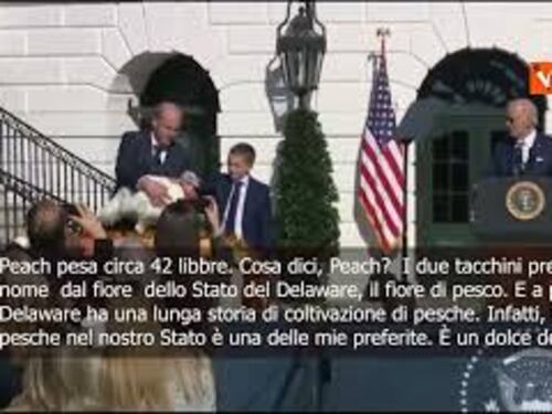 Biden grazia due tacchini per il Thanksgiving: Peach e Blossom fra gli uccelli liberi degli USA
