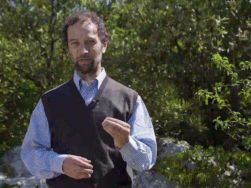 La start-up (benefica) che valorizza la "Fascia olivata Assisi-Spoleto"