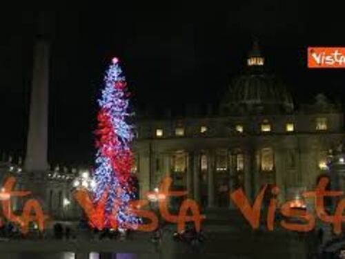 Natale 2024, l'albero della Città del Vaticano in Piazza San Pietro