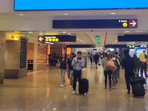 Voli bloccati: il "blue screen of death" in aeroporto