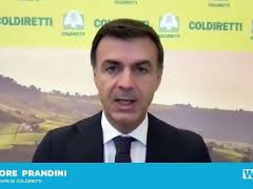 Prandini (Coldiretti): Agricoltura italiana ed europea le più sostenibili a livello globale