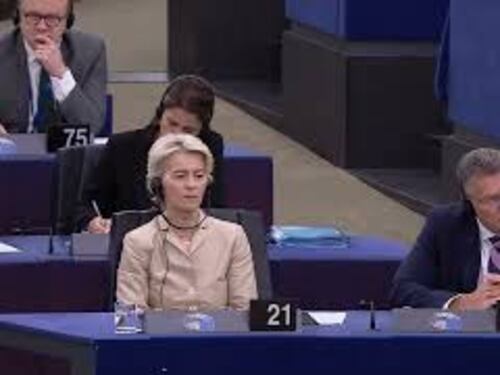 Orban: "Da clandestini antisemitismo e violenza su donne". Applausi e fischi in Aula a Strasburgo