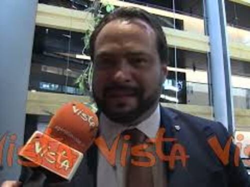 L'ex europarlamentare Castaldo: "Importante che Italia abbia di nuovo due vicepresidenti"