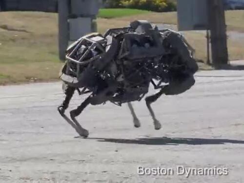 Arriva il primo animale robotizzato