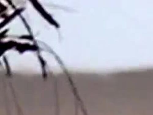 Egitto, video choc Un fotoreporter filma la propria morte