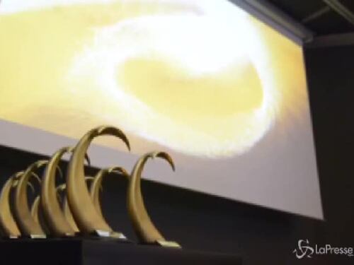 Oscar dei videogiochi: seconda edizione per il Drago d'oro