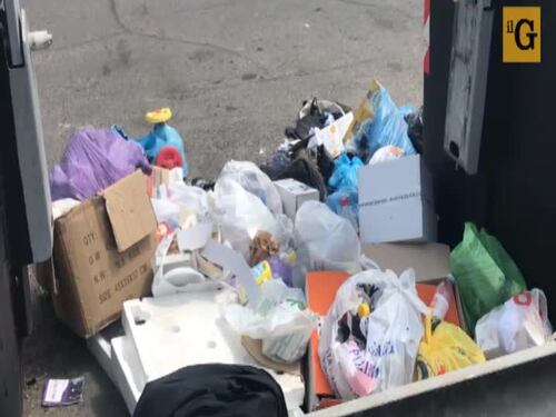 Caos rifiuti a Roma: "Ormai diamo fuoco ai topi con la benzina"