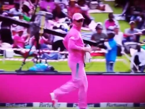 Sudafrica, sciame d'api invade il campo di cricket