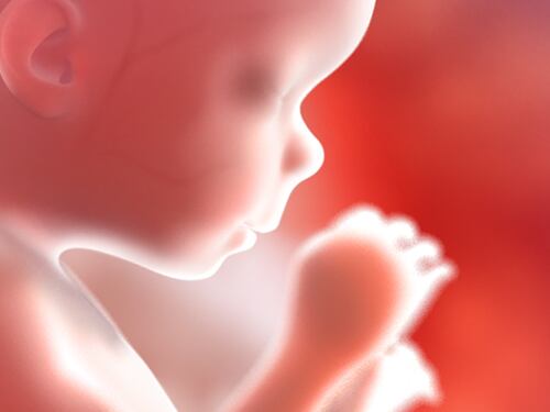 Nel pancione della mamma, feto di 16 settimane canta