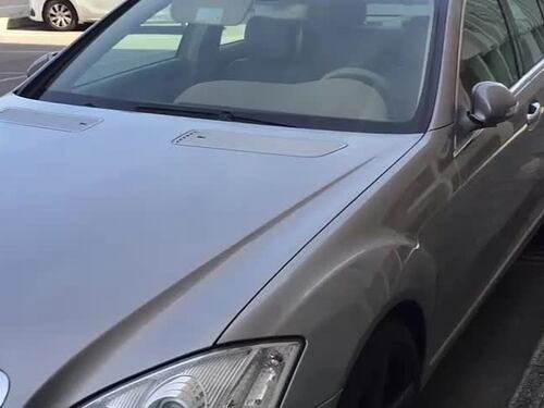 Donzelli (Fdi): "A Firenze stranieri nelle case popolari con auto di lusso"