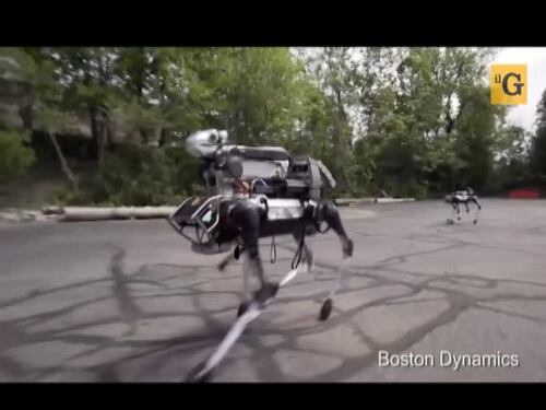 Il cane robot della Boston Dynamics di Google