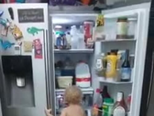 Piccola peste e il suo cagnolone si alleano per saccheggiare il frigo, ma...