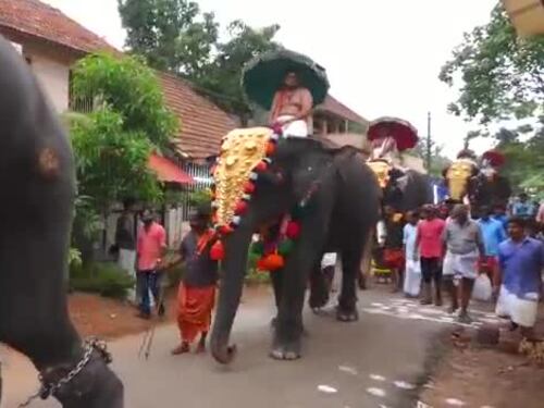 Il calcio dell'elefante durante la cerimonia religiosa
