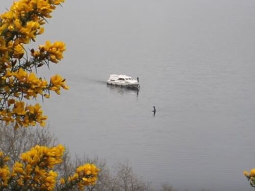 Lago di Loch Ness, nuovo avvistamento del mostro marino Nessie?