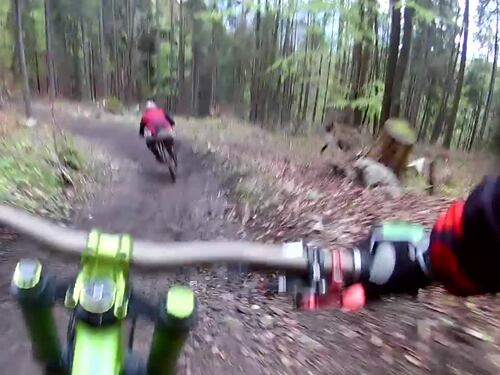 Rincorsi da un orso arrabbiato nel bosco: disavventura per due mountain bikers