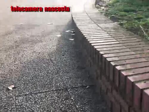 Droga alla stazione di Frosinone: così i migranti gestiscono lo spaccio