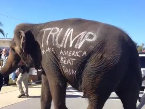 A fianco di Donald Trump spunta un elefante