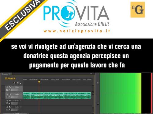 Quanto costa un bambino su commissione