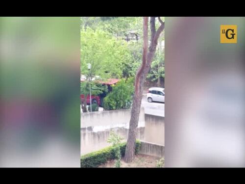 Roma, autobus dell'Atac tenta di investire un pedone