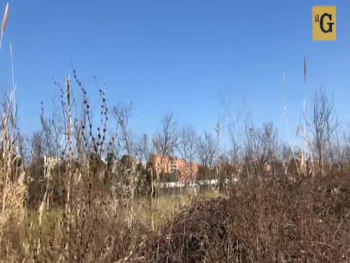 Parco di Centocelle, nuova terra dei fuochi?