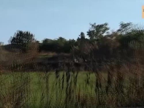 Ecco la terra dei fuochi di Roma: Fonte Laurentina tra sprechi e degrado