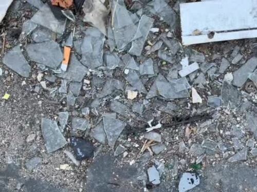 Napoli, alle Case Nuove invasi dalle blatte