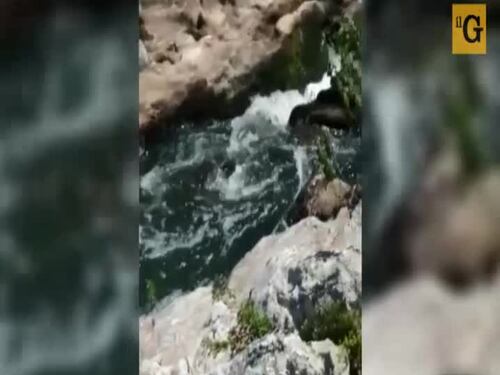 Choc nella Valle del Sacco, moria di pesci e schiuma nelle acque del fiume