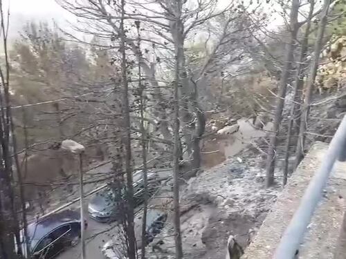 Incendi, sopralluogo del presidente Musumeci nei luoghi del disastro