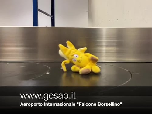 Un video per trovare i peluche smarriti