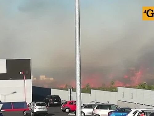 Monreale, padre e figlio appiccavano gli incendi nei boschi