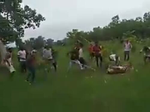India, folla uccide una tigre a bastonate in una riserva