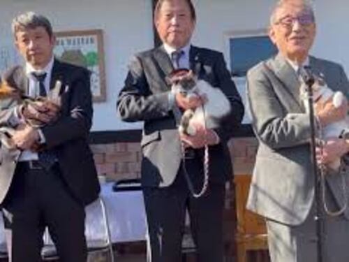Un nuovo gatto-capostazione per la linea ferroviaria Kishigawa in Giappone