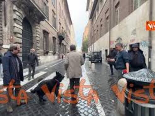 Ecco Oscar, il cane di Conte che lo ha accompagnato al voto per il Referendum