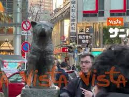 Ecco la statua di Hachiko, il cane eroe giapponese, nel quartiere Shibuya a Tokyo