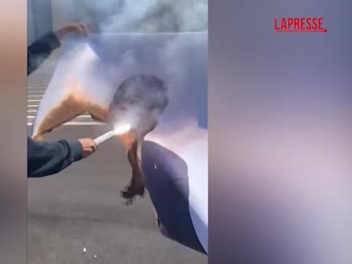 Studenti in piazza a La Sapienza: bruciata l'immagine di Salvini - VIDEO